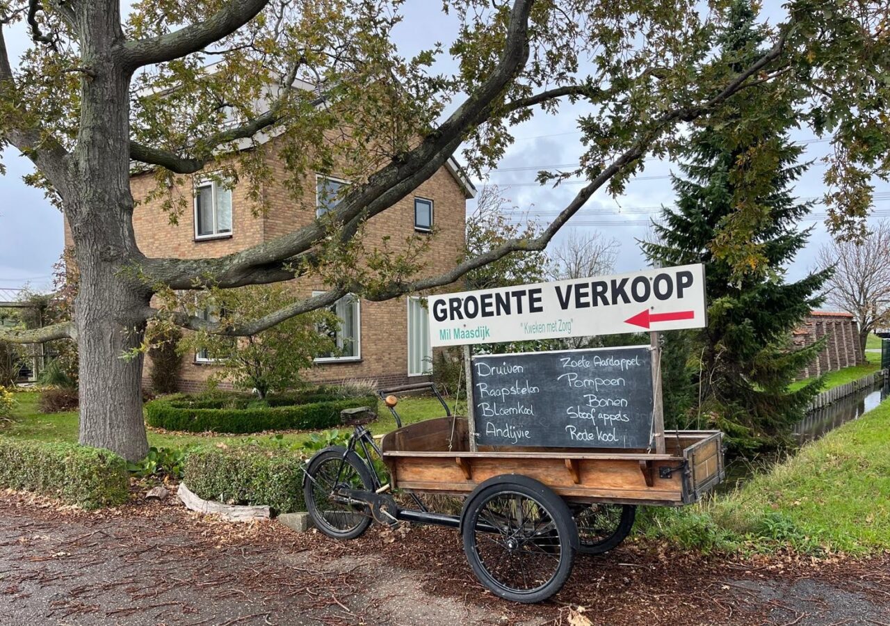 Lange Kruisweg 4 te Maasdijk